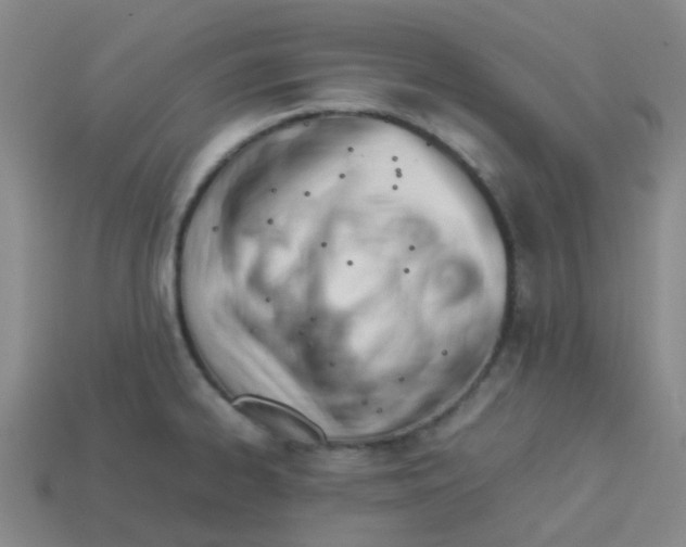 X0000113561334200910161448
