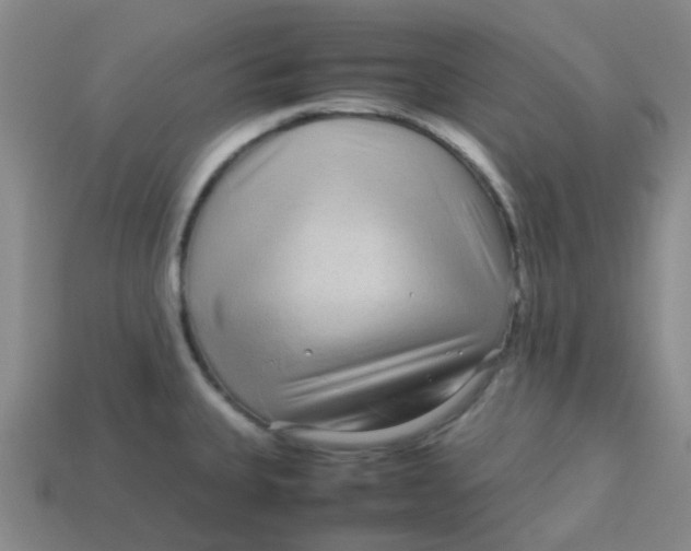 X0000113561335200910161448