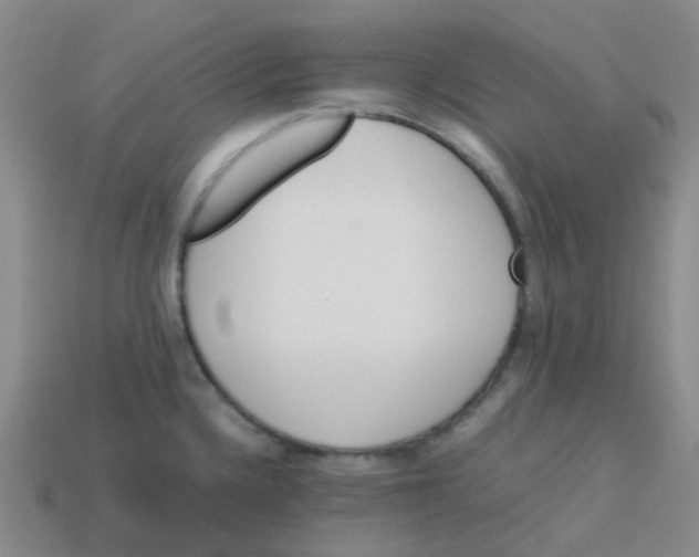 X0000113561336200910161448