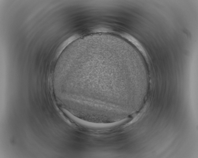 X0000113561337200910161448