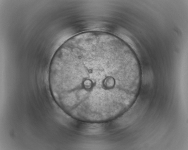 X0000113561338200910161448