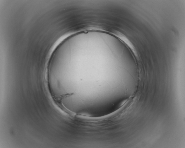 X0000113561339200910161448