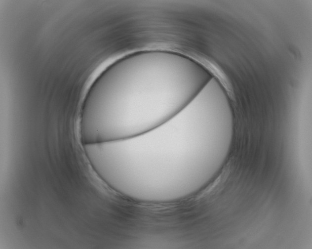 X0000113561340200910161448