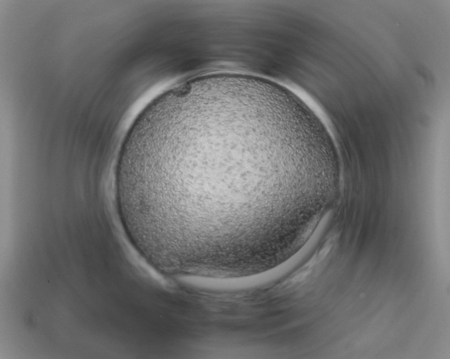 X0000113561341200910161448