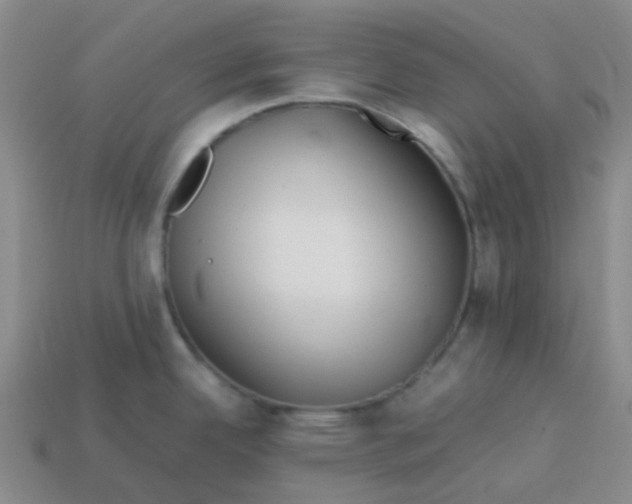 X0000113561342200910161448