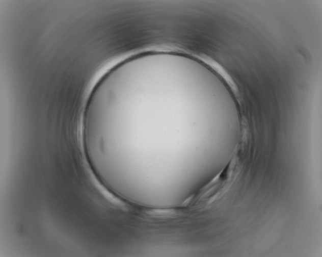 X0000113561343200910161448