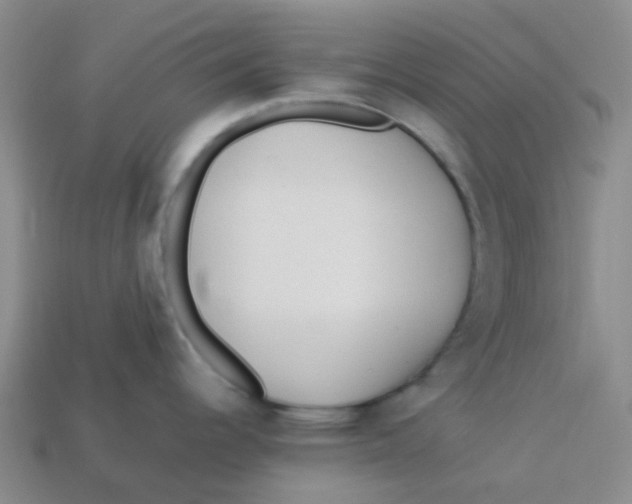 X0000113561344200910161448