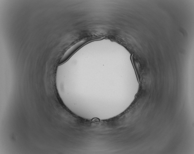 X0000113561345200910161447