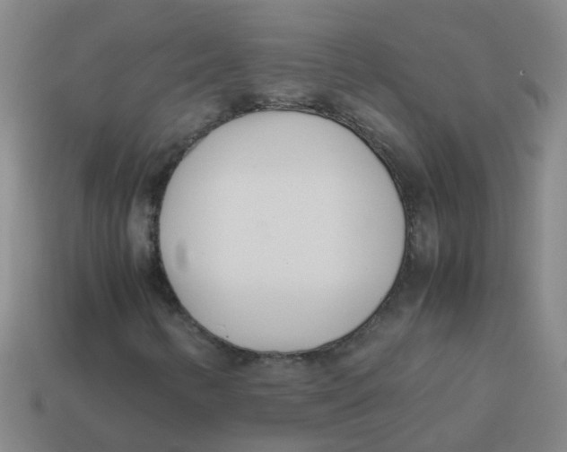 X0000113561346200910161447
