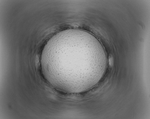 X0000113561347200910161447