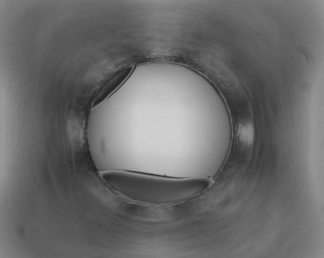 X0000113561348200910161447