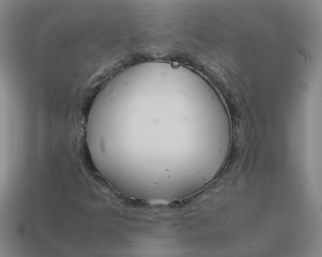 X0000113561349200910161447