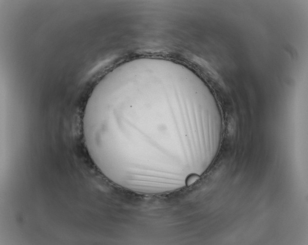 X0000113561350200910161447
