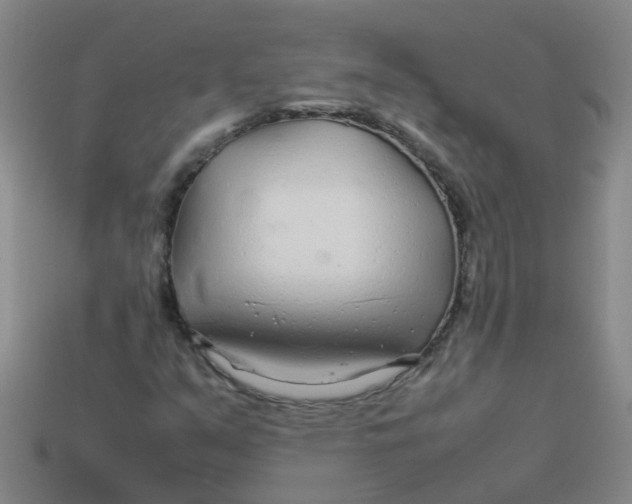 X0000113561351200910161447