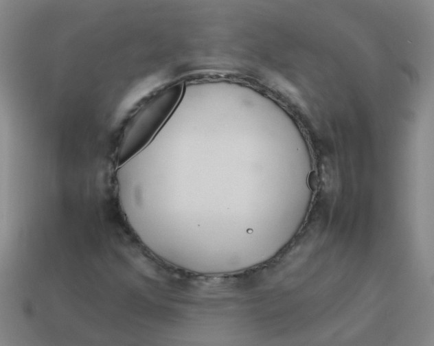 X0000113561352200910161447