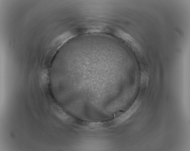 X0000113561353200910161447