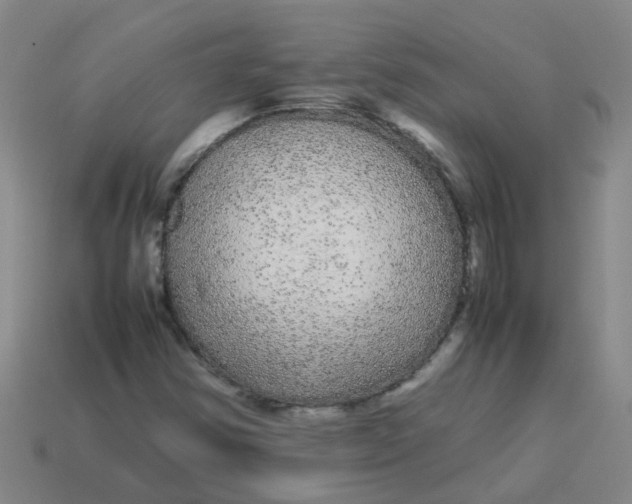 X0000113561354200910161447