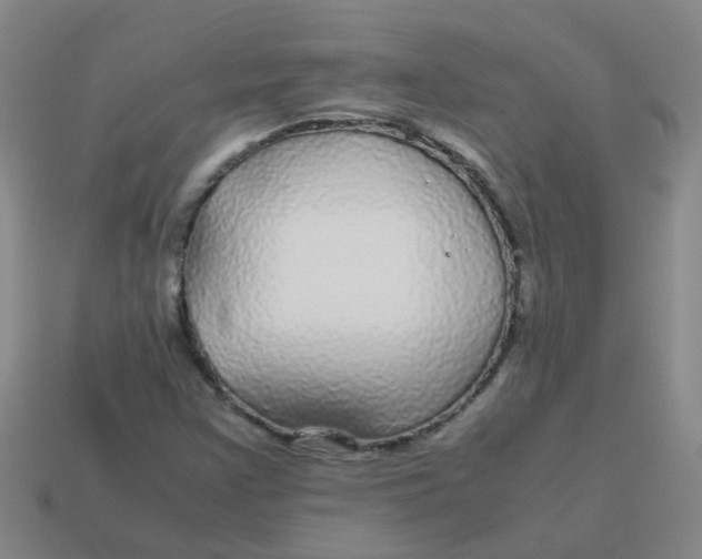 X0000113561355200910161447