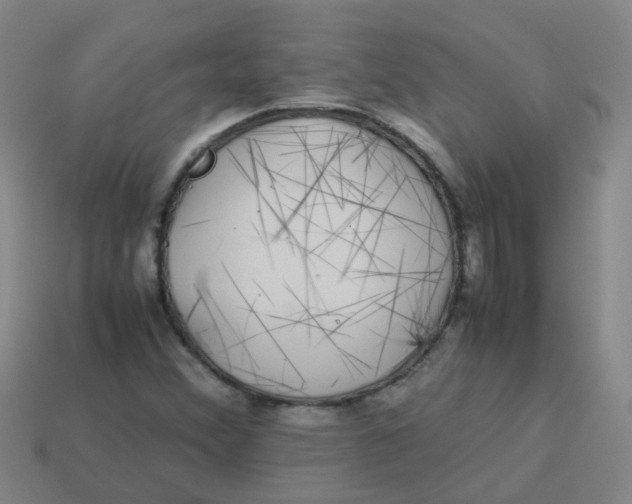 X0000113561356200910161447