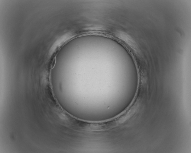 X0000113561357200910161447
