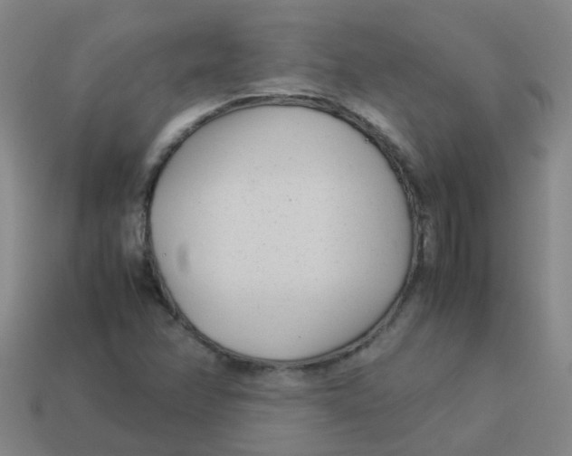 X0000113561358200910161447