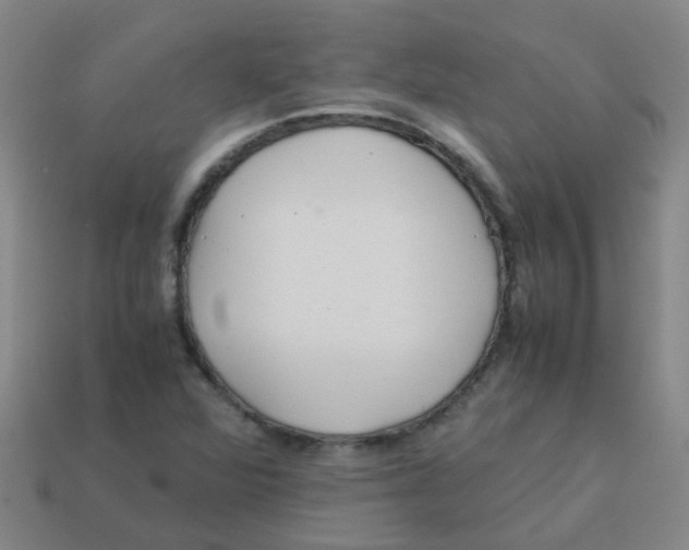 X0000113561360200910161447