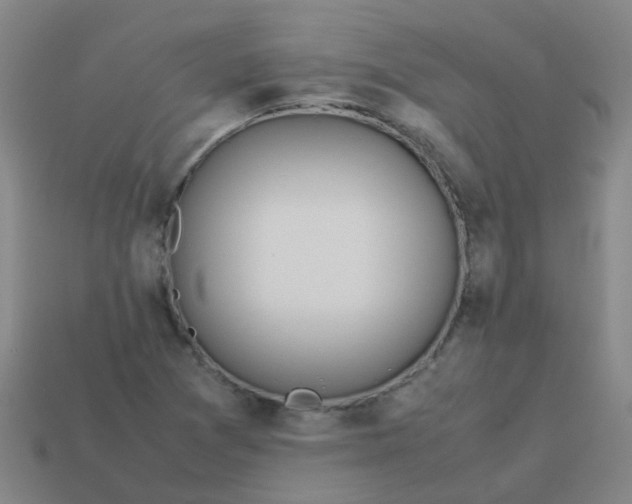 X0000113561361200910161447