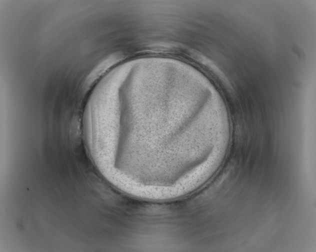 X0000113561362200910161447