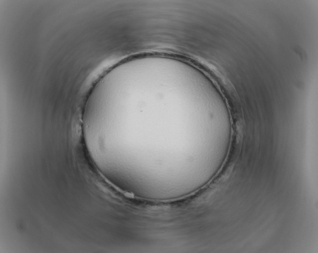 X0000113561363200910161447