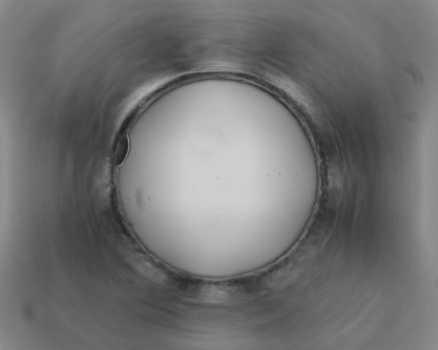 X0000113561364200910161447