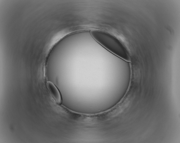X0000113561365200910161447