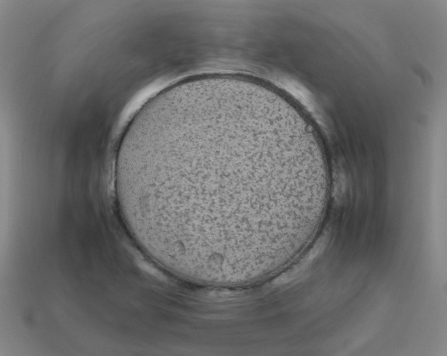X0000113561366200910161447