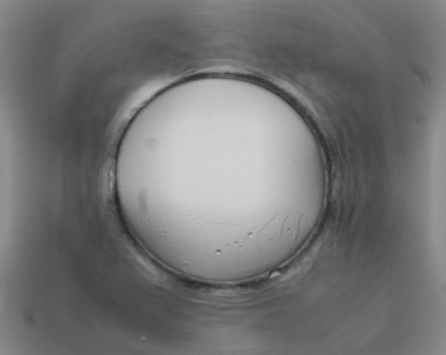 X0000113561367200910161447