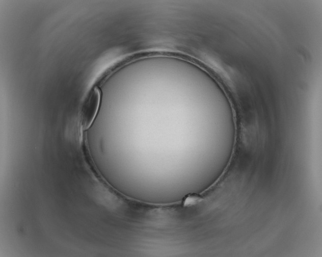 X0000113561368200910161447