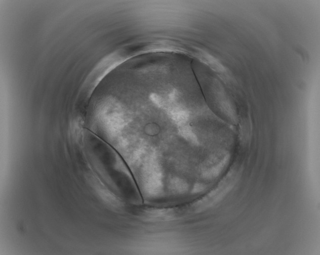 X0000113561369200910161447