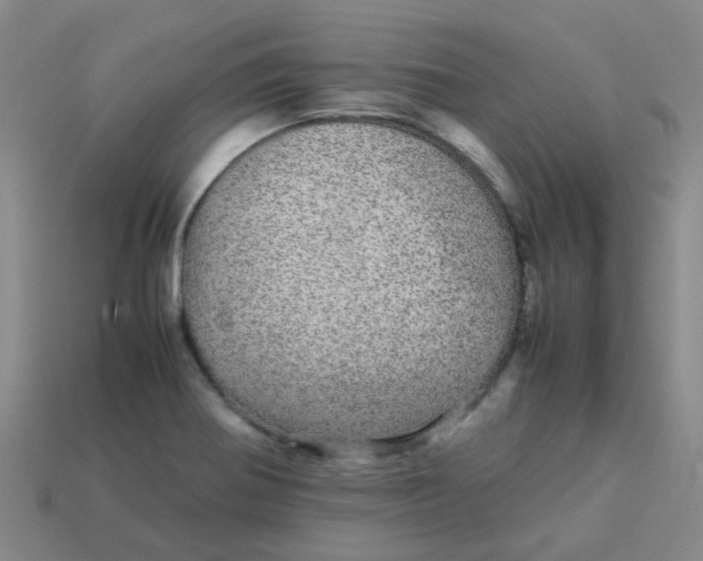 X0000113561370200910161447