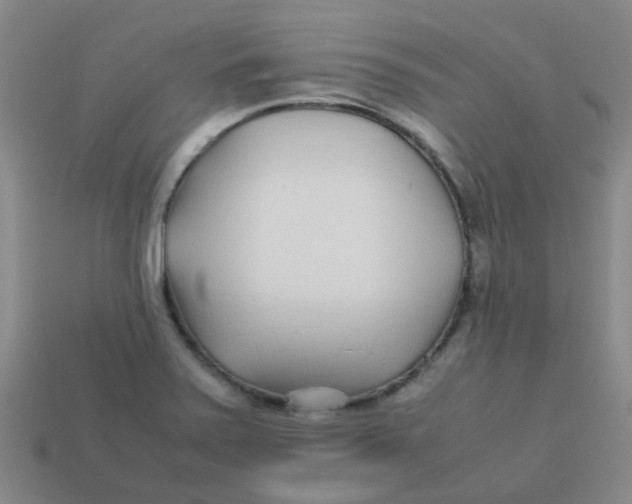 X0000113561371200910161447