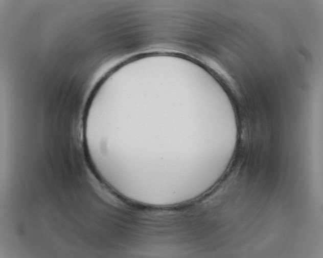 X0000113561372200910161447