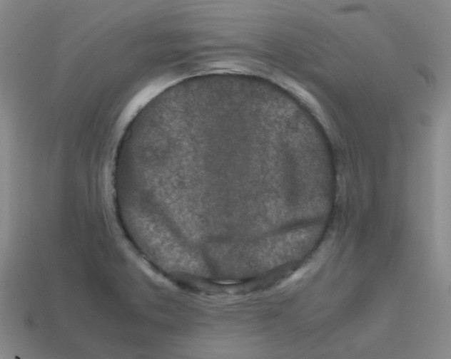 X0000113561373200910161447