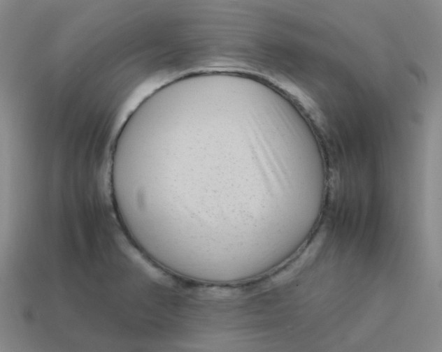 X0000113561374200910161447