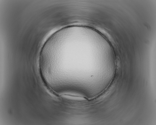 X0000113561375200910161447