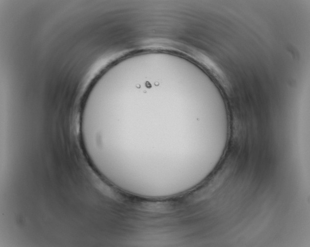 X0000113561376200910161447
