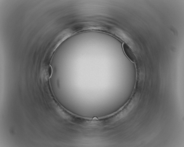 X0000113561377200910161447
