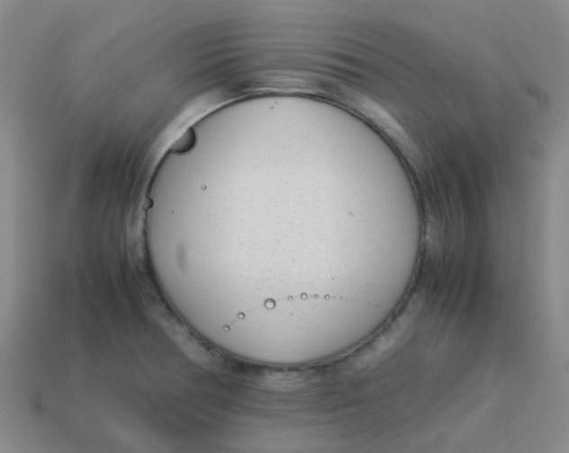 X0000113561378200910161447