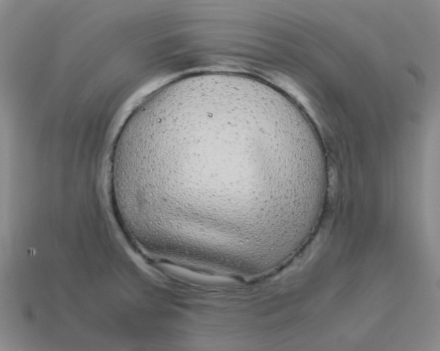 X0000113561379200910161447