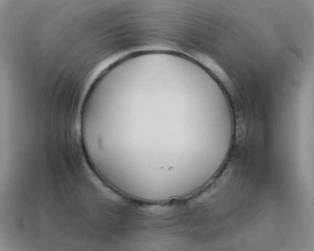 X0000113561380200910161447
