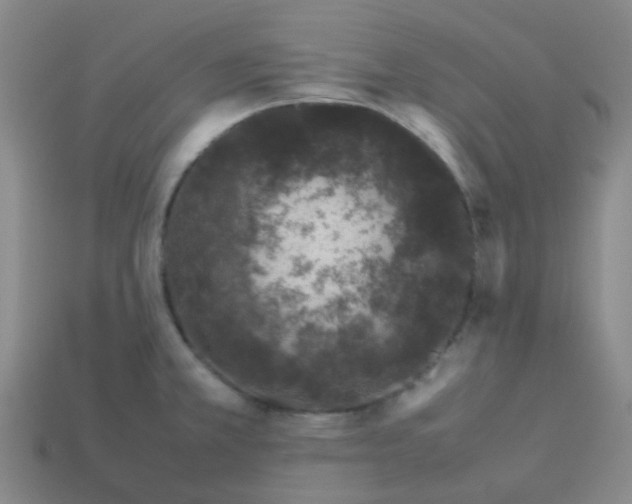 X0000113561381200910161447