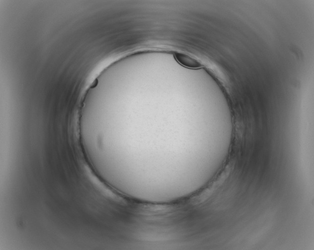 X0000113561382200910161447