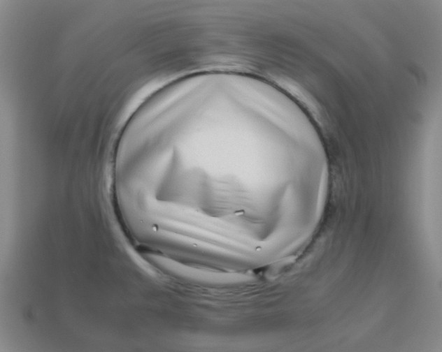 X0000113561383200910161447