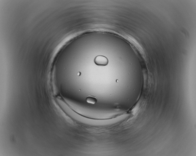 X0000113561384200910161447